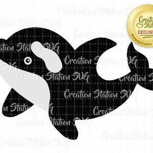May include: Black and white silhouette of an orca, or killer whale, with a white patch around its eye. The orca is swimming to the right. The image is a digital illustration.