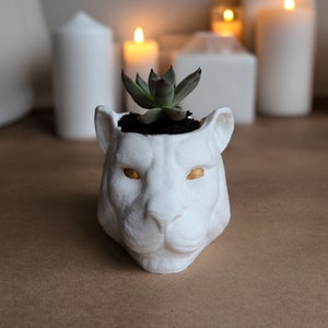 Leopard Pot | Panther Flower Vase | Puma Planter | Head Vase Planter Organizer Pottery | Pen Brush Holder | Different Colors Options