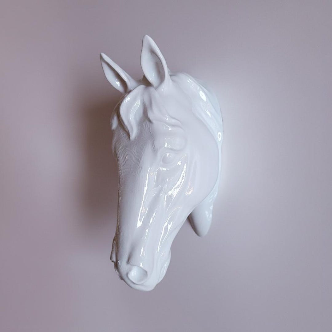 White | Horse Head Wall Sculpture | 3D Taxidermied Art | Different