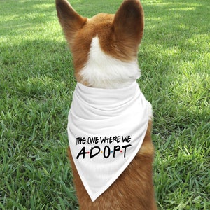 The One Where We Adopt, I Get Adopted Graphic Tee T-shirt Foster Love Adoption Shirt Adoption Family Foster to Adopt Adoption Day image 7