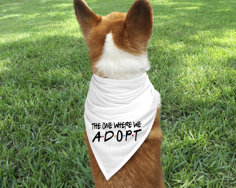 The One Where We Adopt, I Get Adopted Graphic Tee T-shirt Foster Love Adoption Shirt Adoption Family Foster to Adopt Adoption Day image 7