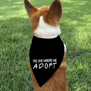 The One Where We Adopt, I Get Adopted Graphic Tee T-shirt Foster Love Adoption Shirt Adoption Family Foster to Adopt Adoption Day image 8