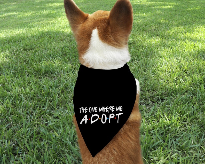 The One Where We Adopt, I Get Adopted Graphic Tee T-shirt Foster Love Adoption Shirt Adoption Family Foster to Adopt Adoption Day image 8