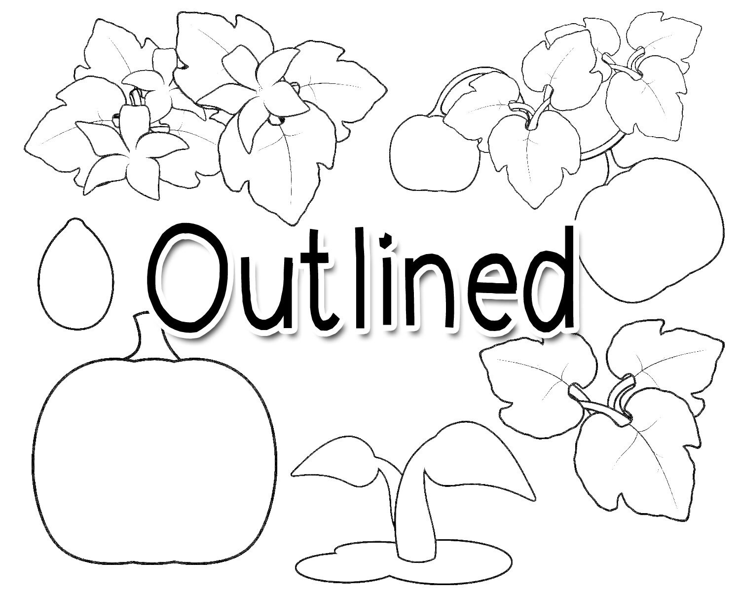 Life Cycle of a Pumpkin Clipart Pumpkin Life Cycle Clipart - Etsy