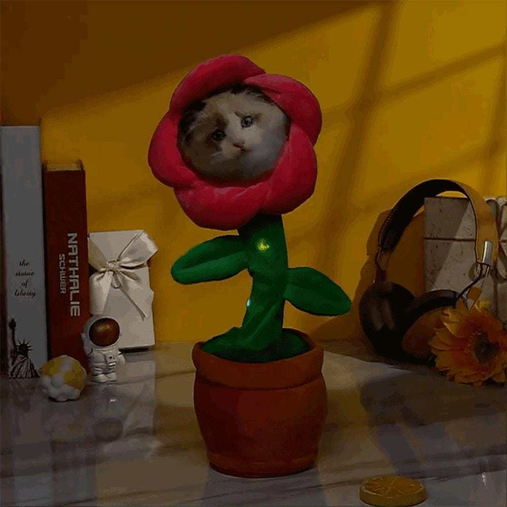 Personalized Photo Dancing Plant | Singing Sunflower Toy with Built-in Music & Voice Recording Function | Gift for Kids and Adults