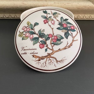 May include: A circular ceramic lid with a botanical illustration of a cranberry plant. The design features green leaves, pink berries, and the text "Vaccinium vitis-idaea" in brown. The lid has a brown border.