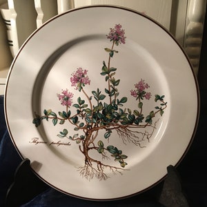 Villeroy boch botanica - Etsy 日本