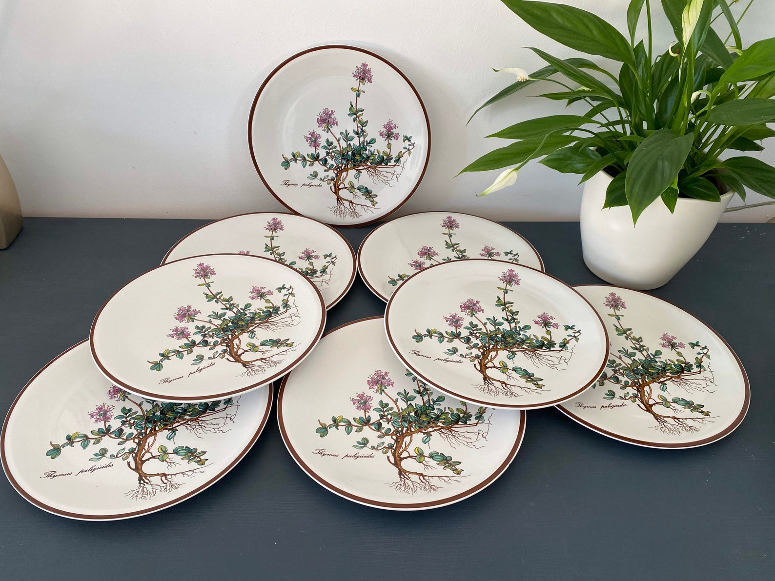 Villeroy Und Boch Geschirr Alte Serien Botanica Villeroy &Boch Botanica plate for breakfast or a delicious | Etsy