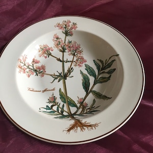 Villeroy & Boch Botanica soup or pasta plate, soup plate, cheerful, vintage tableware, beautiful gift