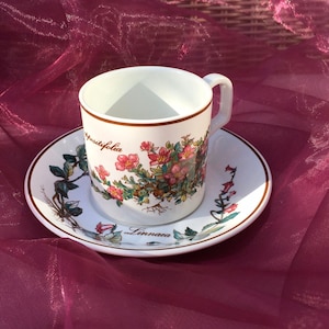 Villeroy & Boch Botanica espresso cup and saucer, vintage tableware, European tableware.