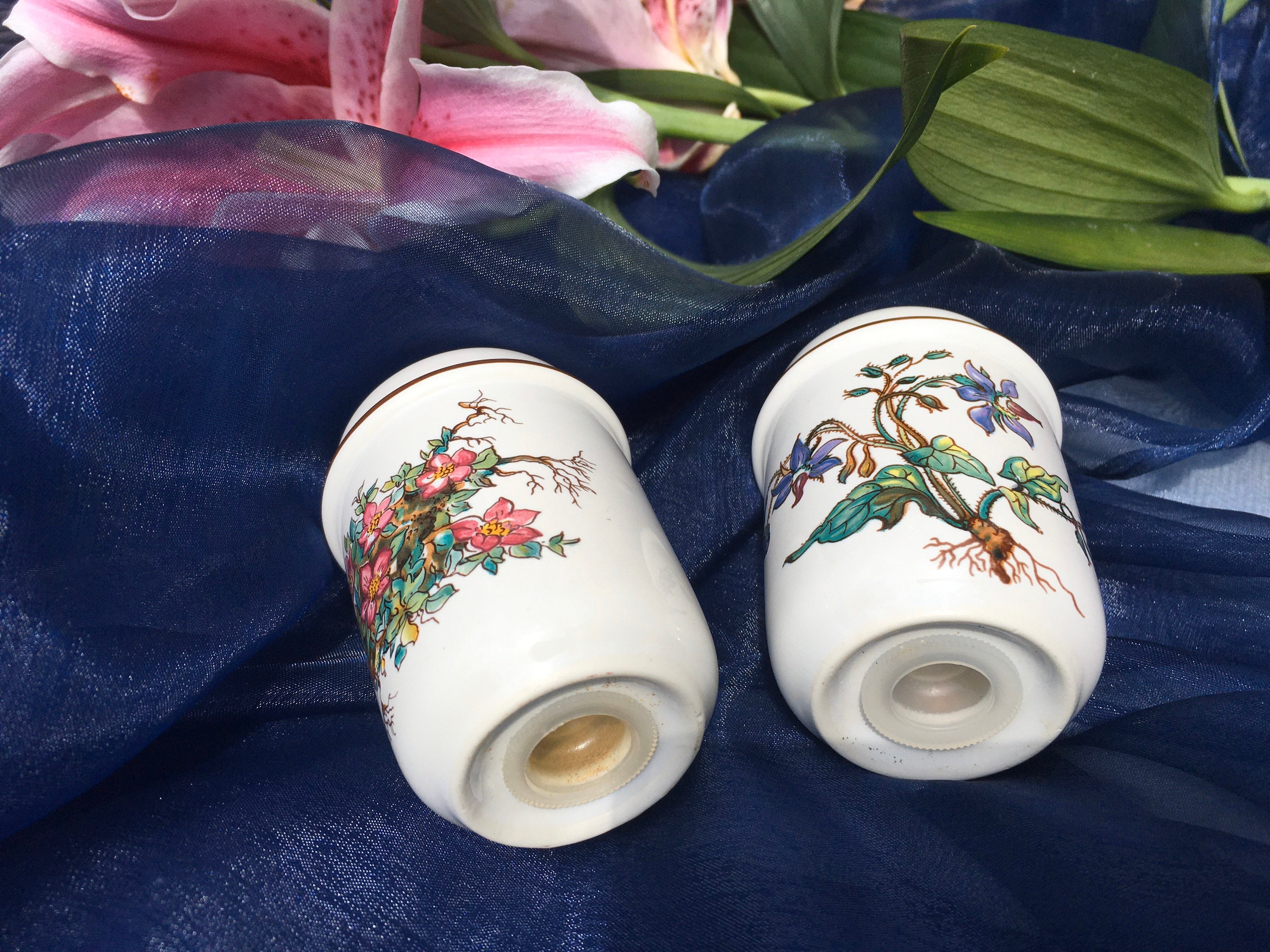 Villeroy and Boch Botanica Salt and Pepper Set, Vintage Villeroy and Boch Botanica Salt and Pepper Set, Vintage
