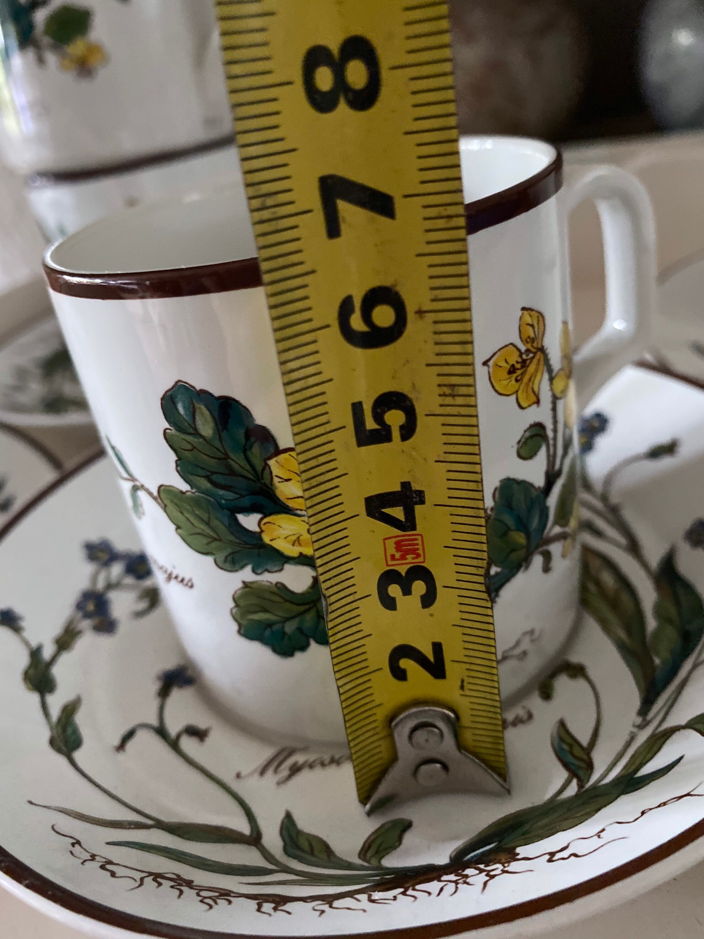 Villeroy & Boch Botanica カップ＆ソーサー、ヴィンテージ食器 