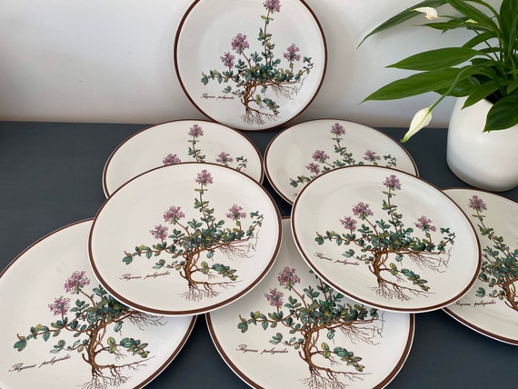 Villeroy Boch Botanica Plate for Breakfast Dessert or Side Dish