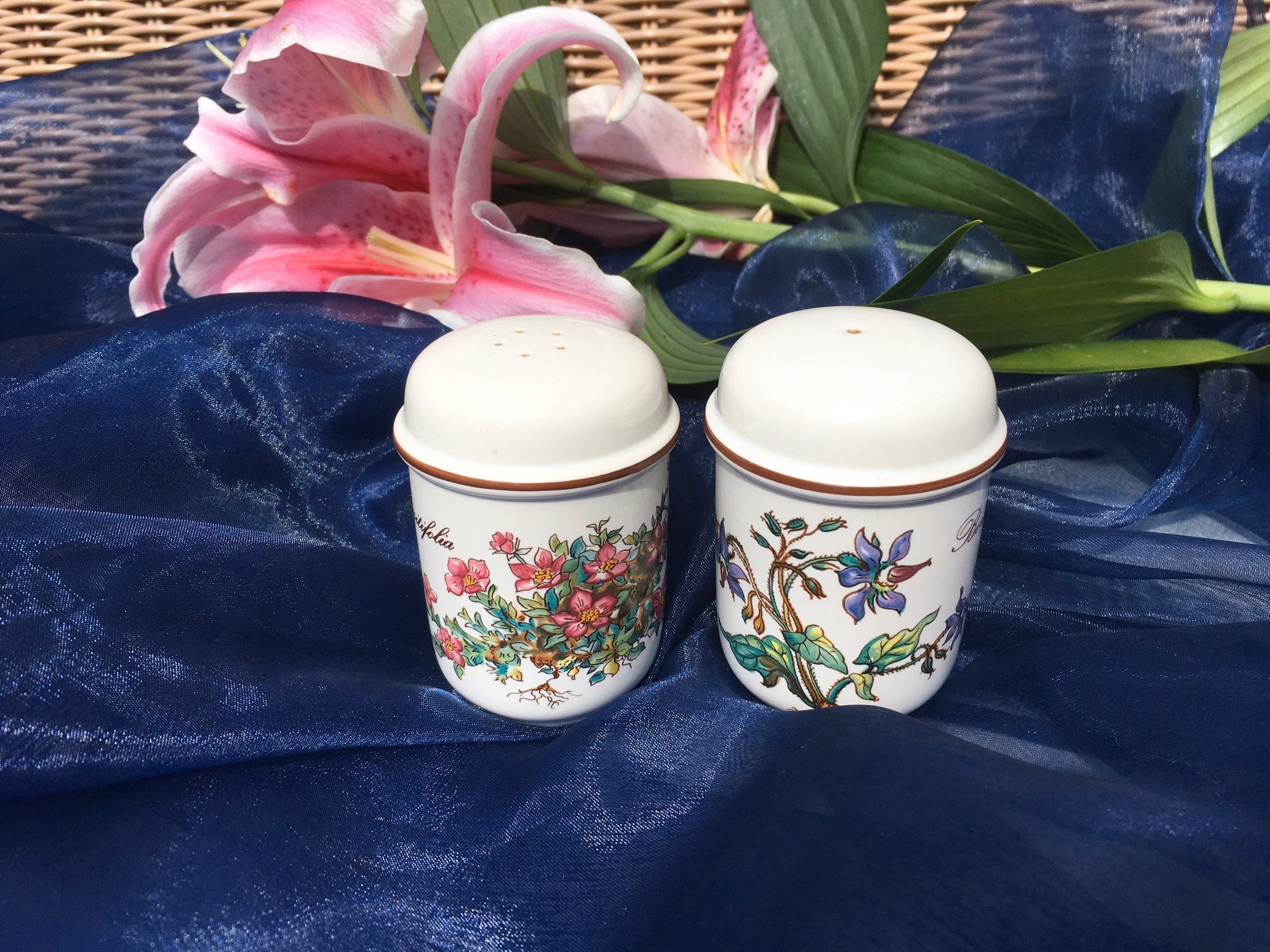 Villeroy and Boch Botanica Salt and Pepper Set Vintage Tableware