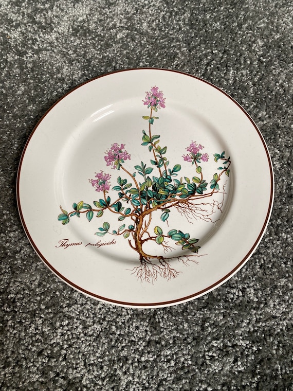 Plato villeroy & boch sale
