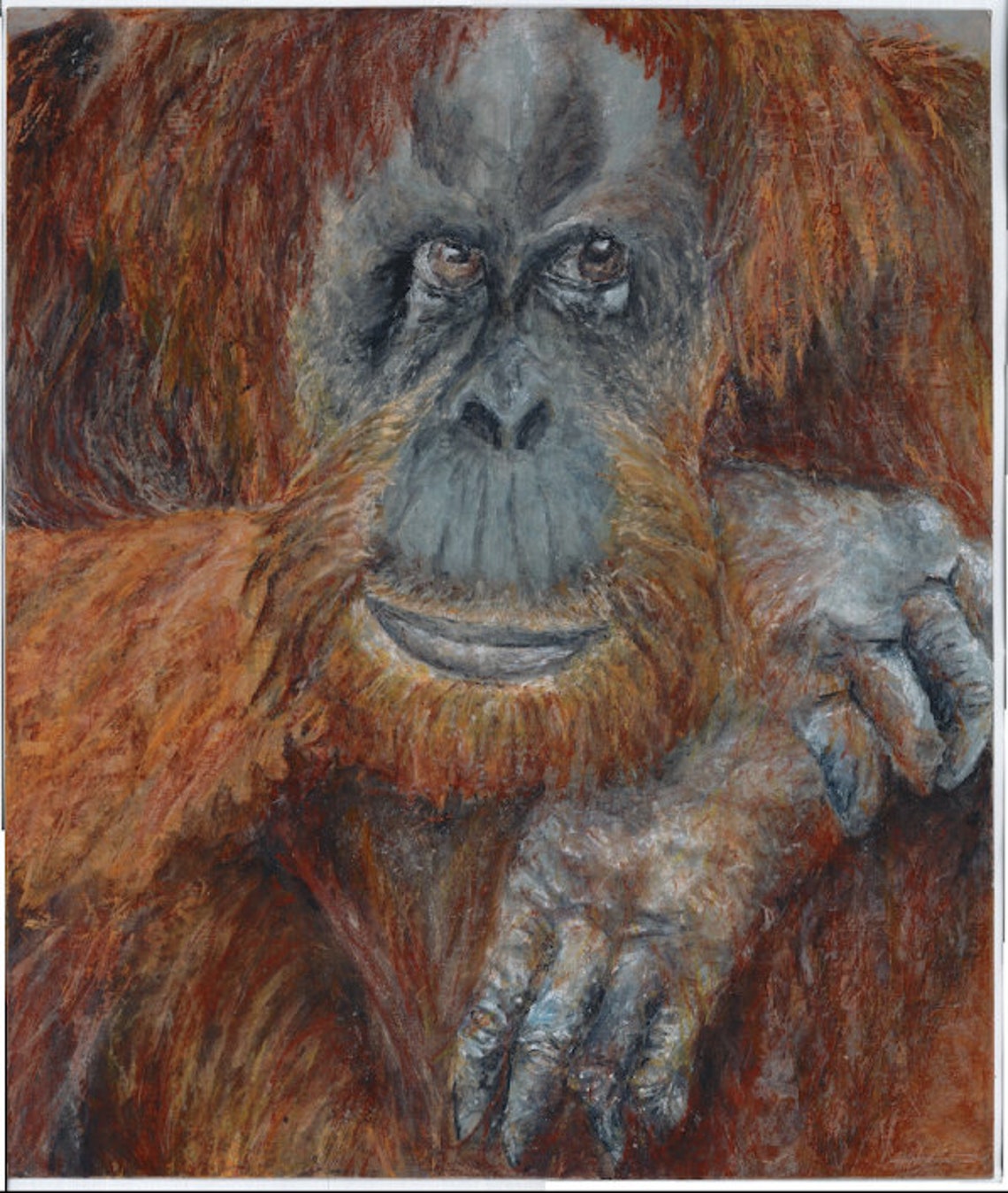 Orangutan by Rita Goldner Orangutan by Rita Goldner