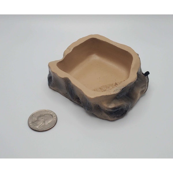 Terrarium Water Bowl Natural Finish for Reptiles and other Small Animals by Jungle Bob 3"x3"