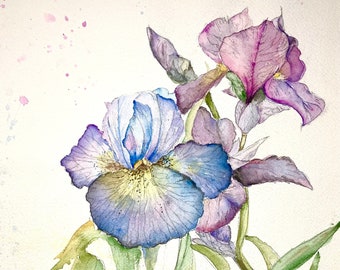 Watercolor Iris, Flower Painting, Minimal, Lavender, Garden Art, Impressionist, Prints, Darcy Brambrink