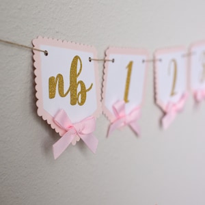 Pink Bow Girl First Birthday Photo Milestone Garland/First Birthday 12 month Photo Display/Photo Banner/Bow Banner/Bow Garland Bunting