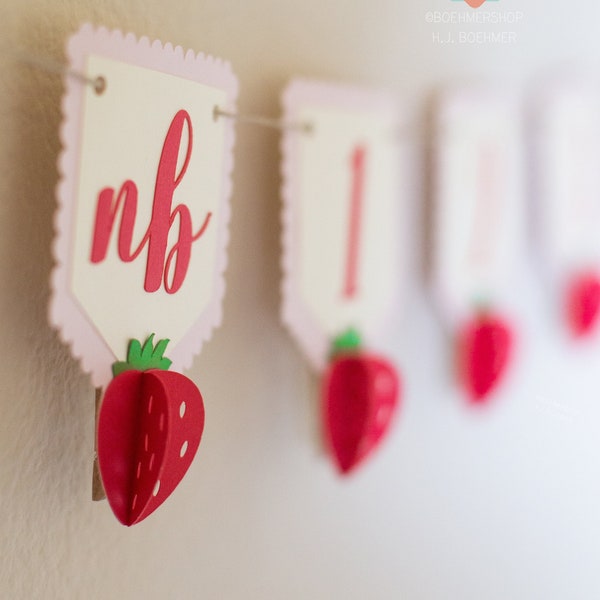 Banner fotográfico 3D de fresa para primer cumpleaños, guirnalda de hitos de 12 meses, decoraciones temáticas de bayas para fiesta de primer cumpleaños