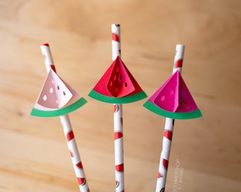 Watermelon Paper Straws with 3D Toppers, Summer Party Decoration (Set of 12)