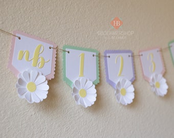 3D Daisy Birthday Photo Milestone Garland/Retro Groovy One First Year Birthday Photo Banner/First Birthday Monthly Photo Banner/