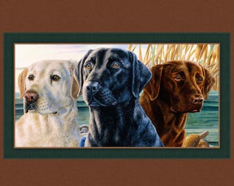 Labrador Trio Quilt Panel: MDG Fabrics Cotton Fabric (45 x 36)