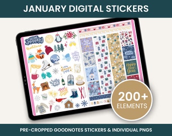 January Stickers, Digital Stickers, Goodnotes Stickers, PNG Stickers, Winter Stickers, January Sticker Kit, Digital Planner Stickers
