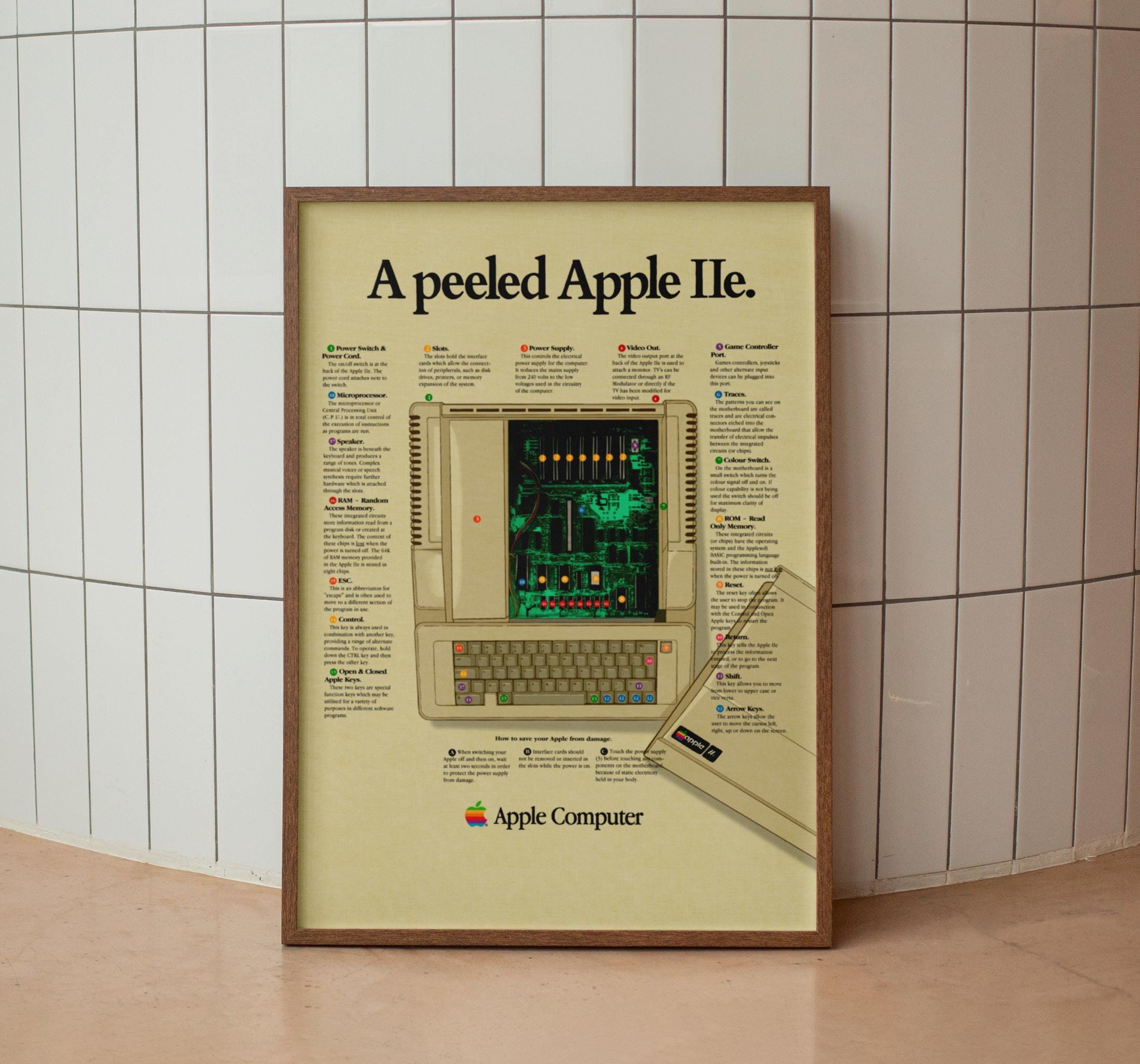 Retro Apple Poster - Etsy