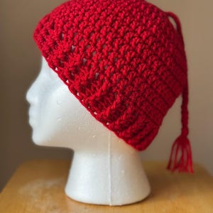 Melt ICE Rote Häkelmütze – No Kings Day Edition
