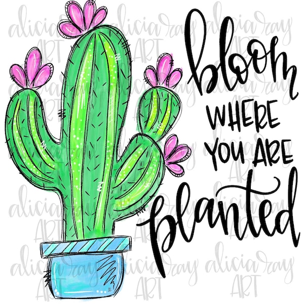 Cute Cactus Sublimation Design | Summer Design | Hand Drawn | Bloom Where You Are Planted | PNG Digital Download | Printable | Digital Art