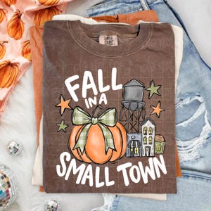 May include: A brown short-sleeve t-shirt featuring a graphic of an orange pumpkin with a green plaid bow, a water tower, small buildings, and stars. The text reads FALL IN A SMALL TOWN in white letters. The shirt has a Comfort Colors brand label.