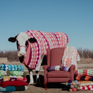May include: A black and white cow wearing a pink, white, and red crocheted blanket. Beside the cow is a maroon armchair draped with a crocheted throw, surrounded by stacks of colorful, textured crocheted blankets and yarn balls.