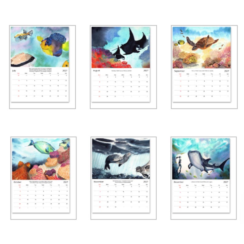 May include: A 2027 wall calendar featuring six pages for July through December, each displaying watercolour illustrations of marine life including fish, manta rays, sea turtles, seals, and a whale shark alongside monthly date grids.
