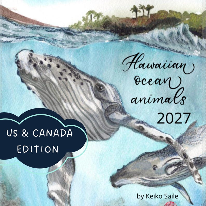 May include: A watercolour illustration of two humpback whales swimming in blue ocean water with a coastal landscape above. The text reads Hawaiian ocean animals 2027, US & CANADA EDITION, and by Keiko Saile. The whales are grey and white.