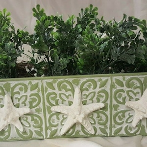 May include: A green planter with a distressed finish and a wood trim. The planter has three white starfish accents and is filled with green leafy plants.