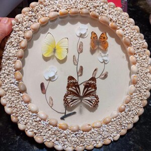 Peut inclure: Une assiette décorative ronde avec une bordure de petits coquillages et un motif central représentant des papillons et des éléments floraux. Les papillons sont jaunes, oranges et bruns. L'assiette mesure environ 25 cm de diamètre.