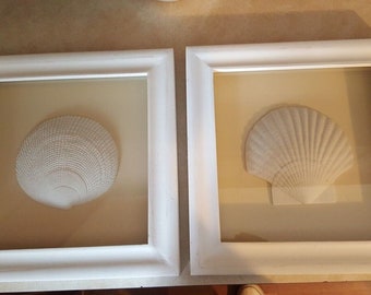 Pair of Coastal Wall Shadow Boxes w/ Faux Sea Shells Beach Ocean Nautical Decor