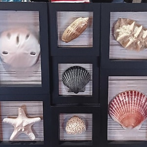 Seashell Shadow Box Ocean Art Decor Real & Faux Shells Hanging or Freestanding