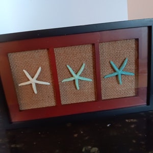 3 Starfish in Frame, Wall Decor, Beach, Ocean, Nautical, Black frame
