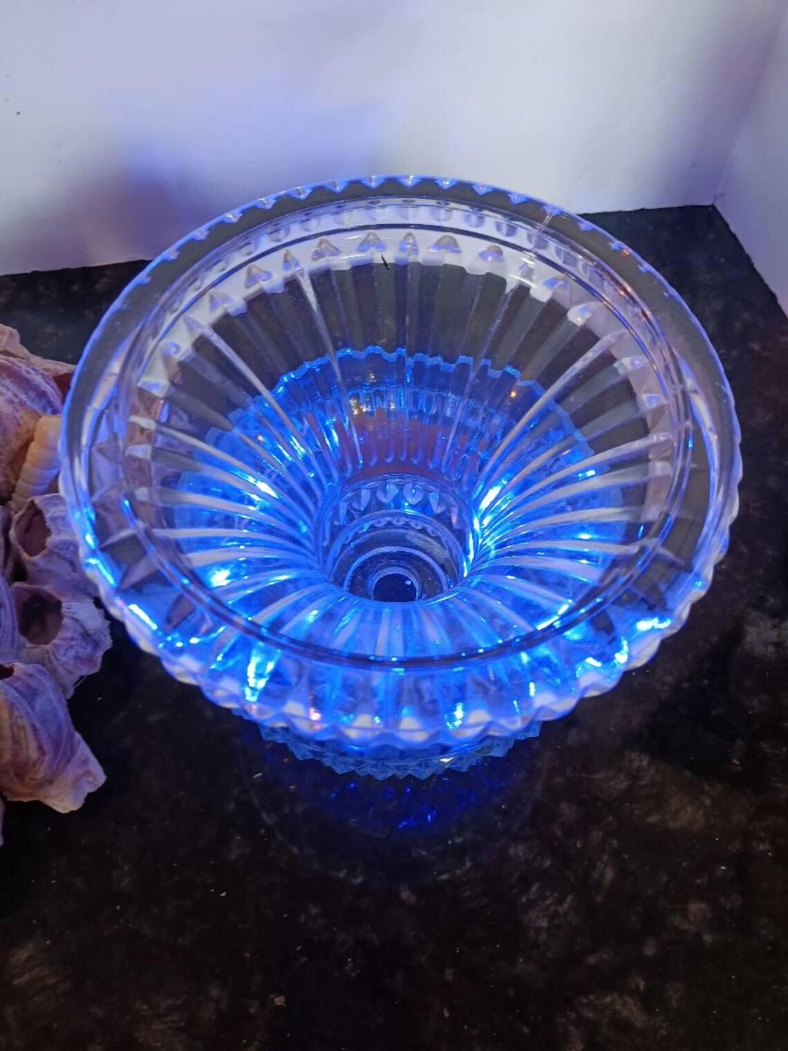 Natural Genuine Barnacle Cluster W/shells on Crystal Stand W/fairy ...
