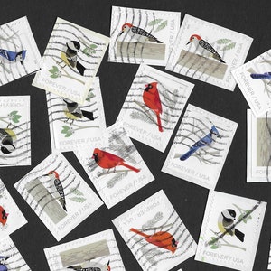 24 Birds in Winter - USED and Cancelled Stamps - On Paper