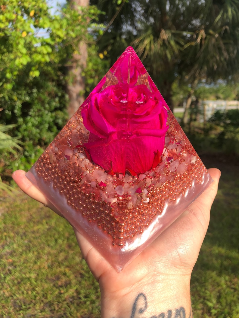 Cupid\u2019s Rose in Hot Pink