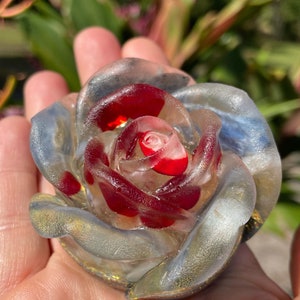 Mary Magdalene Rose