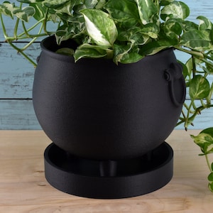 May include: A black cauldron-shaped planter with a drainage saucer, filled with a green and white variegated plant with trailing vines.