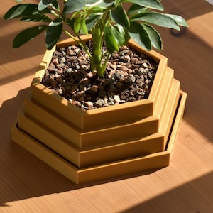 May include: A hexagonal plant pot with a layered design, made of a light brown material. The pot is filled with small brown and red stones and a green plant is growing out of it.