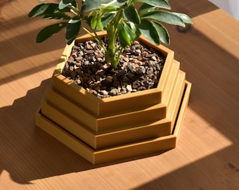 Hexagon Planter with Tray