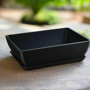 Small Modern Bonsai Pot