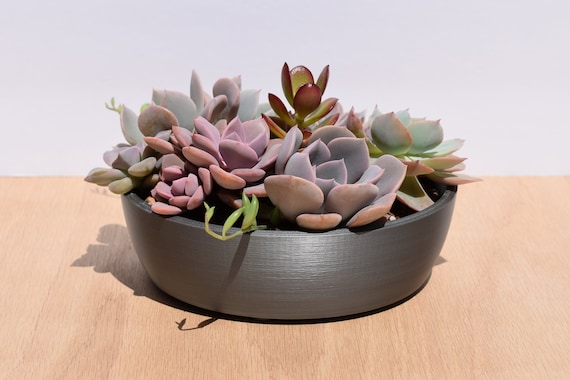 Shallow sale plant pots