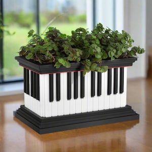 May include: A black and white piano-shaped planter with a black base and a red trim. The planter is filled with green plants.